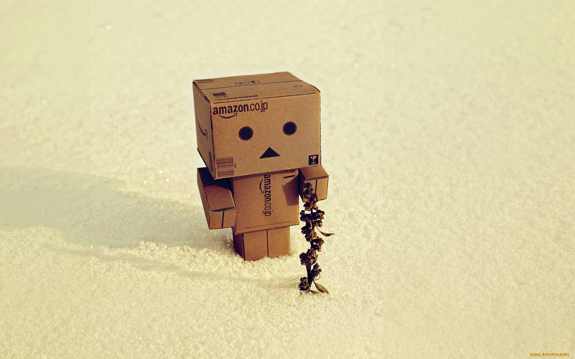 , , danboard, amazon, , danbo, , , , , , 